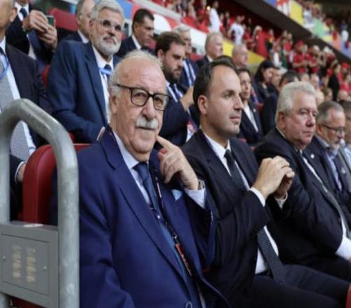 博斯克：若没世界杯决赛伊涅斯塔的进球，西班牙队不会有今天